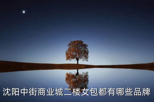 中街商業(yè)城都有什么品牌，沈陽中街商業(yè)城二樓女包都有哪些品牌
