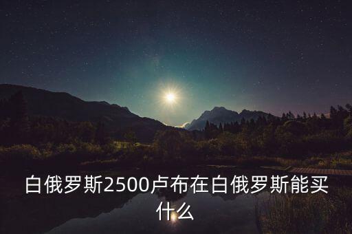 白俄羅斯盧布50可以買什么，白俄羅斯2500盧布在白俄羅斯能買什么