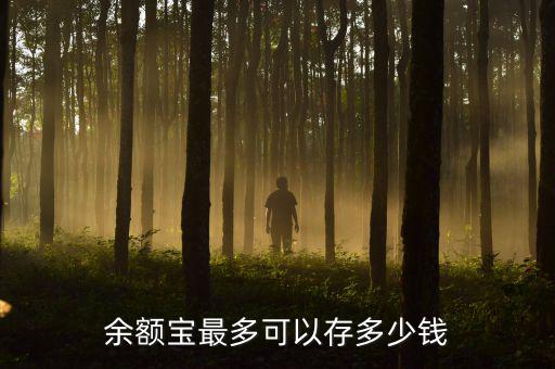 融通易支付貨幣a是什么，C語(yǔ)言中ab是什么意思
