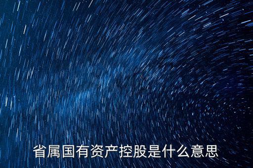 國資控股什么意思，國有資金投資占控股是什么意思
