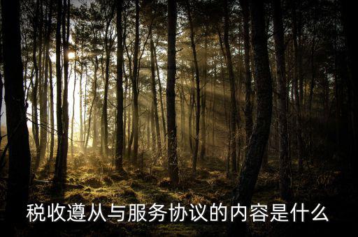 什么是稅收遵從，稅收遵從與服務協(xié)議的內容是什么