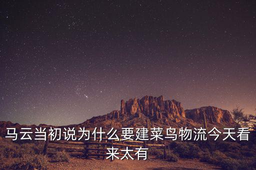 馬云為什么要做物流，馬云為何不搞物流