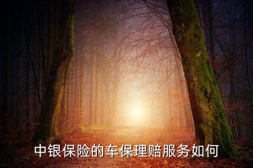 中銀保險(xiǎn)車險(xiǎn)vip客戶有什么權(quán)利，中銀保險(xiǎn)的車保理賠服務(wù)如何