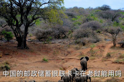 中國(guó)的郵政儲(chǔ)蓄銀聯(lián)卡卡在老撾能用嗎