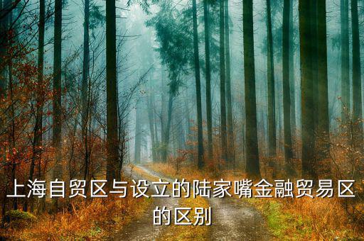 陸家嘴金融貿(mào)易區(qū)有什么，上海自貿(mào)區(qū)與設立的陸家嘴金融貿(mào)易區(qū)的區(qū)別