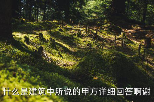 為什么說(shuō)mint是甲方，MINTS DOUBLEMINT是什么意思