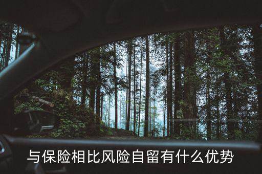 什么是風險自留，股票里有個自留的專業(yè)用語是什么意思
