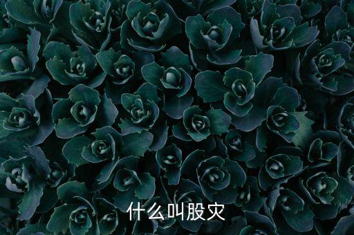 股災逃脫人叫什么，做了壞事倉皇而逃的人叫什么