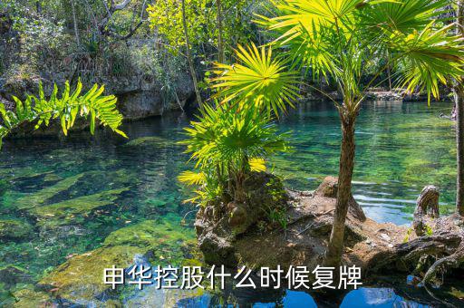 000650什么時間復牌，金馬股份什么時候復牌