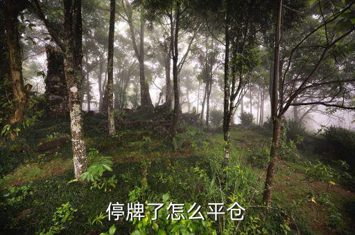 股票黑名單什么意思，股票配售黑名單是什么意思