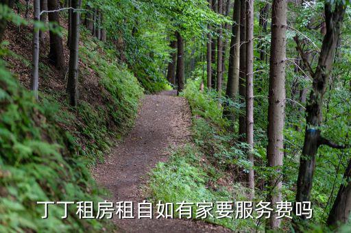 丁丁租房都收取什么費用，丁丁租琴的費用怎么算