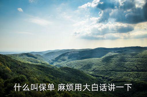 什么是保單，什么是保單