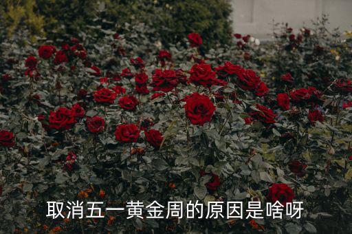 五一黃金周為什么取消，為什么取消五一黃金周