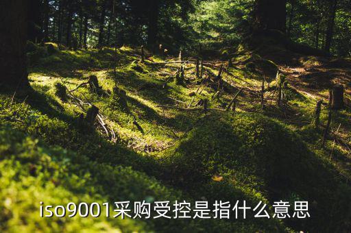采購流程的雙控體系是什么意思，iso9001采購受控是指什么意思