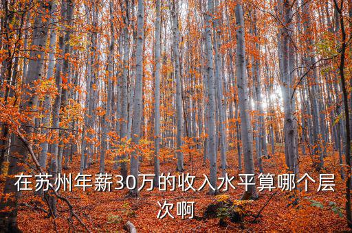 年薪三十萬元處于什么階層，在蘇州年薪30萬的收入水平算哪個層次啊