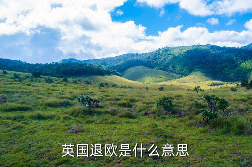 英國(guó)退歐是什么意思