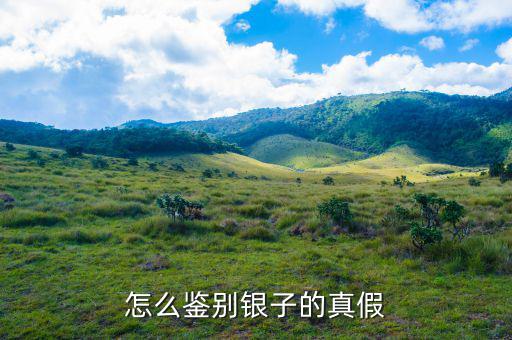 怎么檢測(cè)銀的真假,如何辨別真?zhèn)文?