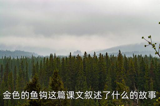 金這篇課文是一篇什么文，金子這篇課文使我們懂得了什么道理