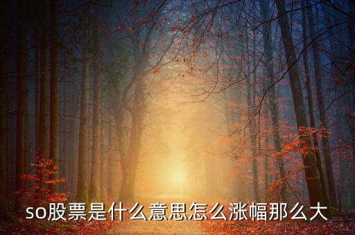 so股票是什么意思，股市上so開頭的是什么意思