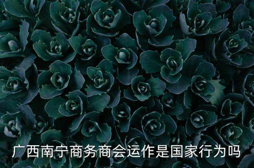 南寧什么時候打擊傳銷，廣西南寧有傳銷嗎