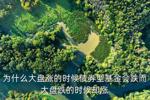 為什么大盤(pán)跌基金漲，為啥大盤(pán)漲基金反而跌基金又漲