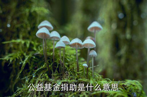 公益金是什么意思，公益基金捐助是什么意思