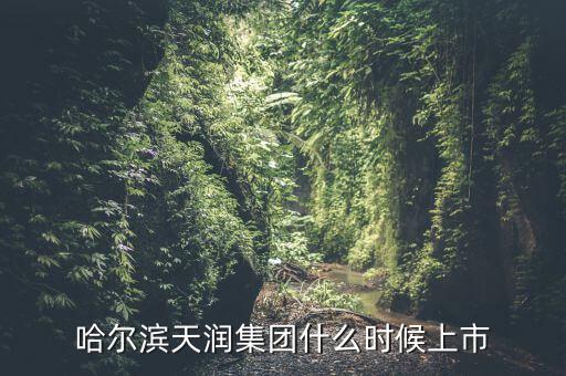 天潤(rùn)乳業(yè)什么時(shí)候上市，哈爾濱天潤(rùn)集團(tuán)什么時(shí)候上市