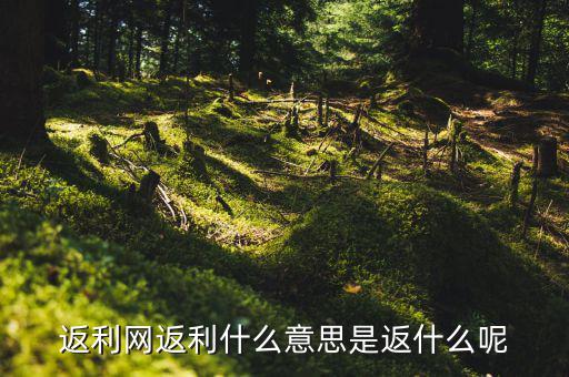 返傭網(wǎng)是什么意思，返傭網(wǎng)大概是什么意思