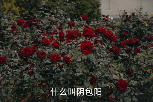 什么叫陽(yáng)包陰，K線里收陽(yáng)包陰或陰包陽(yáng)指的是實(shí)體還是影線也算上
