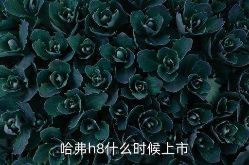 哈佛h8什么時候上市的，哈弗h8什么時候上市