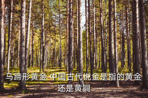 中國古代的黃金是什么，古代中國都使用了哪些金屬