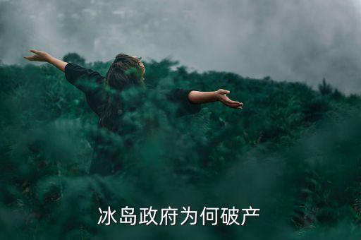 冰島為什么破產(chǎn)，冰島政府為何破產(chǎn)