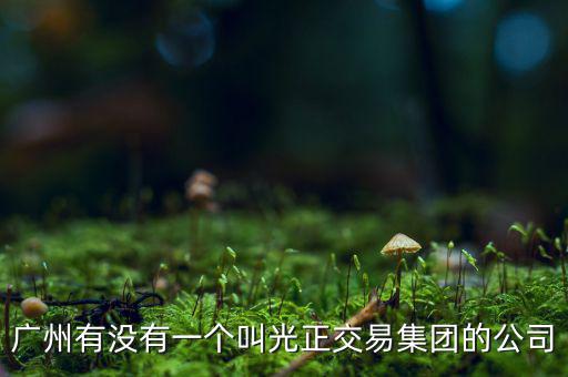 光正集團(tuán)股票公司主要生產(chǎn)什么，光正集團(tuán)股票是做什么板塊的