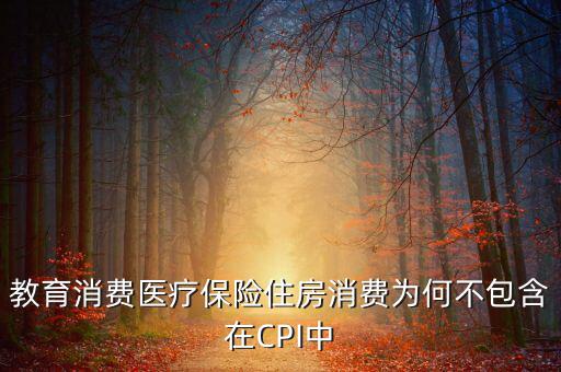 房價為什么不納入cpi，為什么在中國房價不算入CPI消費水平也就是物價里面