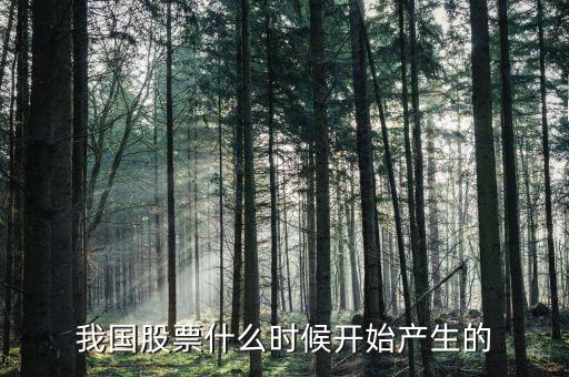 股票什么時候出來的，股票是什么時候出現(xiàn)的從世界范圍看