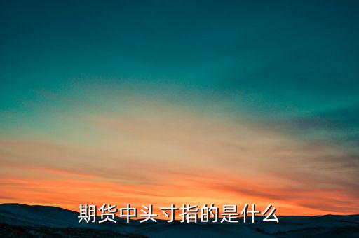 期貨中的頭寸是什么意思，期貨中頭寸指的是什么