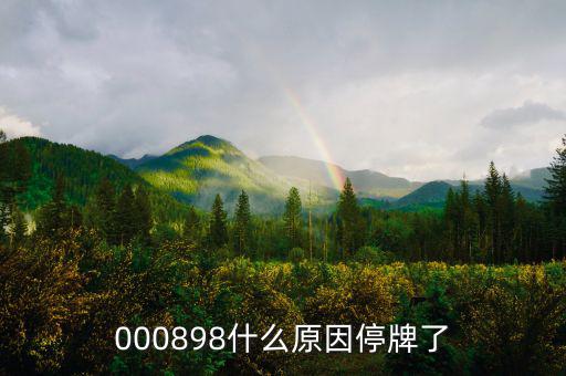 華資實(shí)業(yè)為什么停牌，000009今天為何停牌