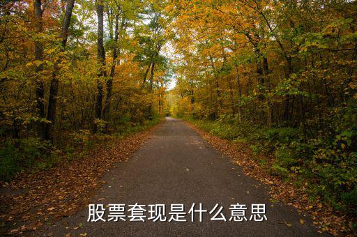股票套現(xiàn)什么意思，股票當中的套現(xiàn)是什么意思