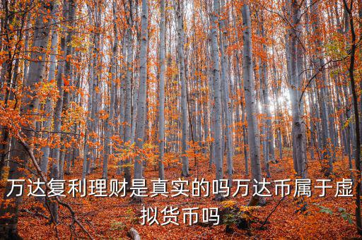 萬達(dá)貨幣是什么，萬達(dá)復(fù)利理財(cái)是真實(shí)的嗎萬達(dá)幣屬于虛擬貨幣嗎