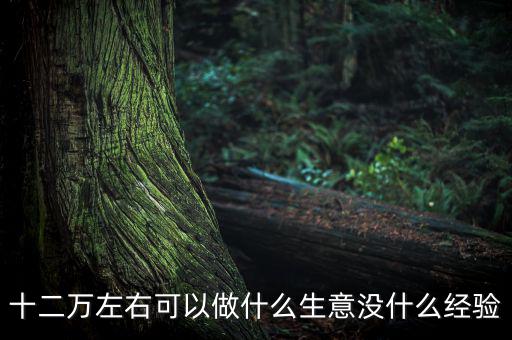 十二萬(wàn)左右可以做什么生意沒(méi)什么經(jīng)驗(yàn)