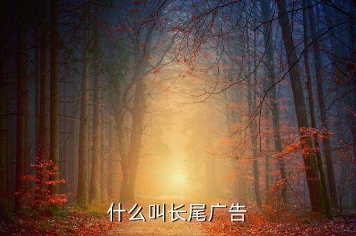 什么是長尾流量，什么叫長尾關鍵詞