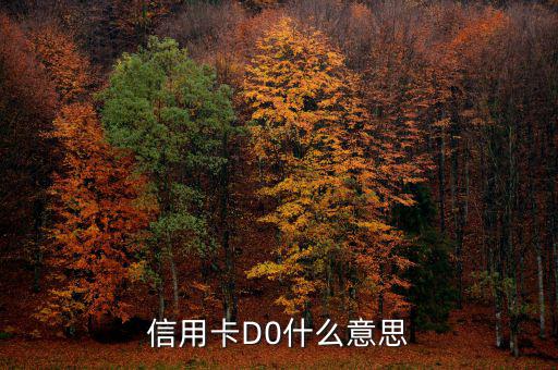 預付卡的贖回是什么意思，信用卡D0什么意思