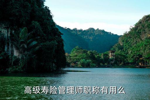 保險高管證有什么用，朋友讓我?guī)退急ｋU高管證說考過了我就是他公司的法人這兩個