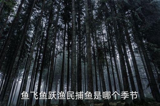 漁民捕魚一般是什么時候，魚飛魚躍漁民捕魚是哪個季節(jié)