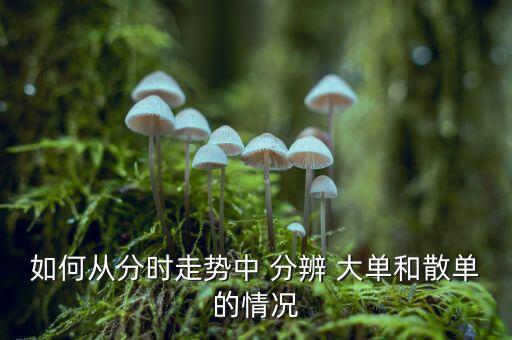 如何從分時(shí)走勢(shì)中 分辨 大單和散單的情況