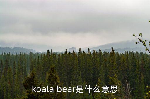 牛壓熊什么意思，tady bear是什么意思