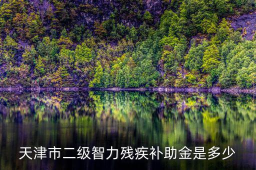 天津市對(duì)二級(jí)殘疾人有什么補(bǔ)助，二級(jí)殘疾人補(bǔ)助標(biāo)準(zhǔn)