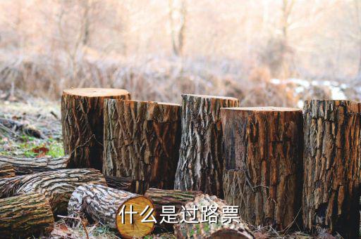 什么是過票行為，使用較消過的發(fā)票是什么行為