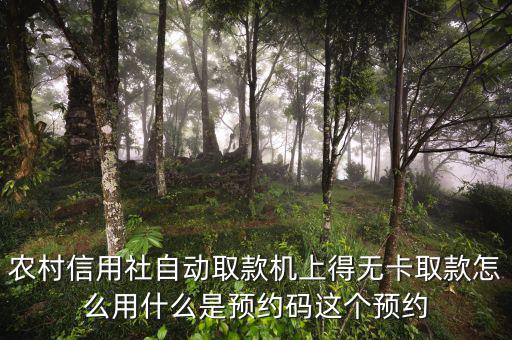 農行預約碼是什么，農商銀行預約取款預約碼是什么