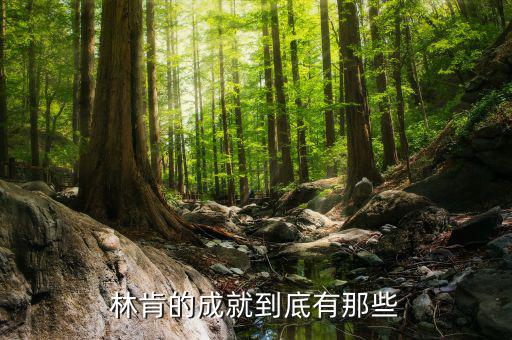 林肯的業(yè)績有什么，華盛頓林肯共同歷史功績
